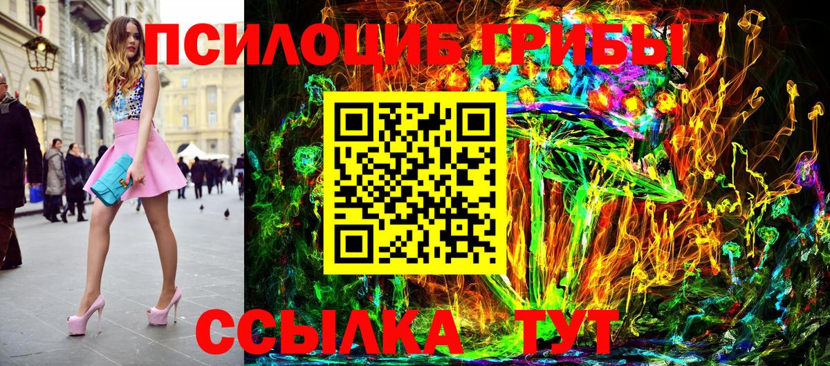 Псилоцибиновые грибы Cubensis Биробиджан