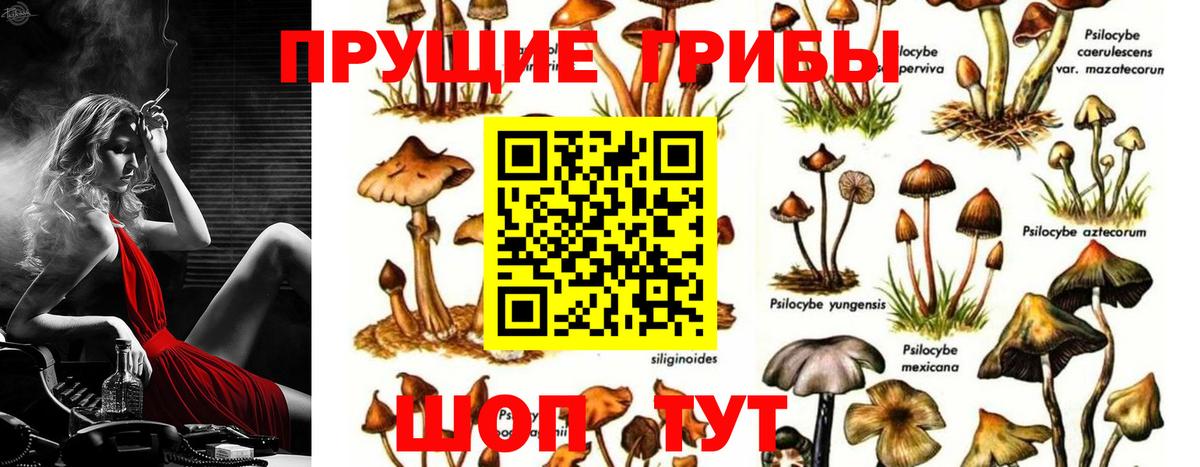 Биробиджан  Псилоцибиновые грибы прущие грибы  Вход с VPN 